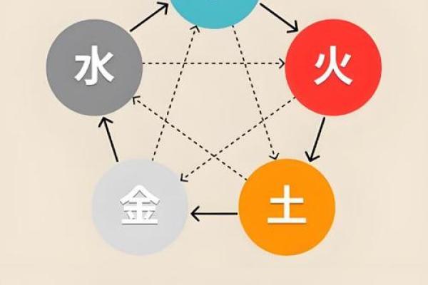探索大泽土命与数字的奥秘，揭秘其背后的智慧与启示