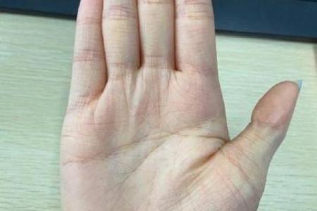 双手假断掌：命运与个性解析之旅