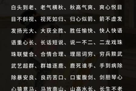 探索而什么面命成语的魅力与智慧