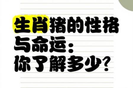 2020年属猪人的命运解析：幸运与挑战并存的一年