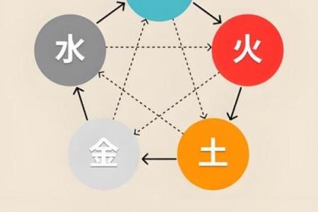 探索大泽土命与数字的奥秘，揭秘其背后的智慧与启示