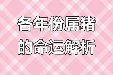 1986年属猪的命运与性格解析：探讨生活中的机遇与挑战