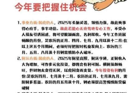 2006年属虎命运解析：揭示五行与生活的深刻联系