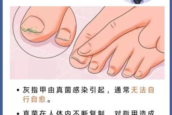 揭秘指甲形状背后的命运:享福命的指甲特征解析 揭秘指甲形状背后的命运:享福命的指甲特征解析