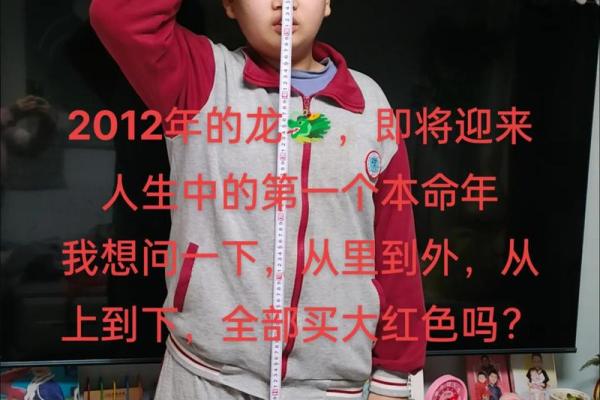 1960年出生的马年命运解析与人生启示