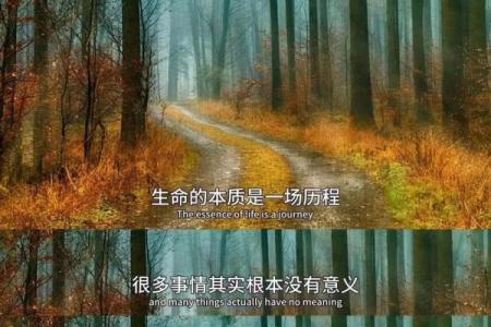 只不过一命抵一命，探索生命的价值与意义