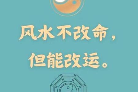 一命二运中的“命”：人生的起点与宿命的奥秘