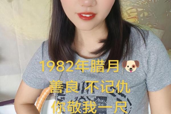 明年82年狗的命运解析：如何把握岁月的馈赠与挑战