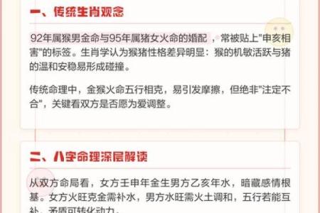 火命猪适合从事的行业解析与职业发展建议
