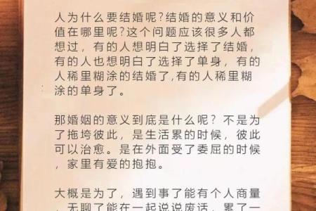 《命小》：深入解读这首歌背后的情感与意义