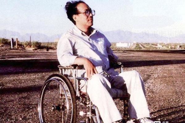 命若琴弦：人生的韵律与和谐之道