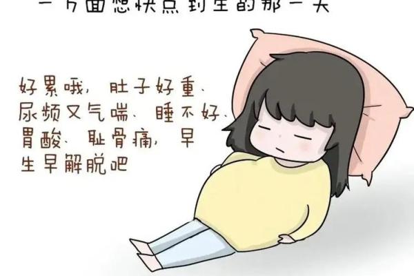 没有孩子的人是什么命？探讨未孕人生的哲学与意义