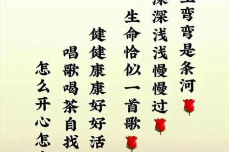 命若琴弦：人生的韵律与和谐之道