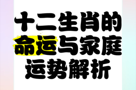 男性生肖属相的命运解读：揭示你的内在潜能和性格特征