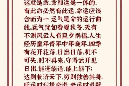 命贵的秘密：揭示生活中更深层次的意义与价值观