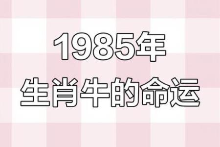 1985年乙丑年命运解析：探寻属牛之人的人生密码