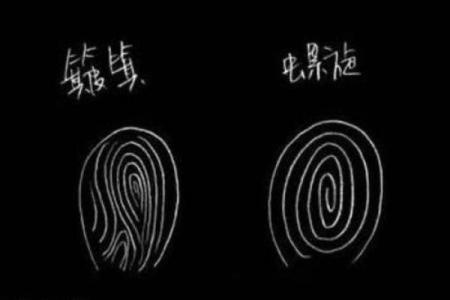 男生十簸箕命运解析：命理背后隐藏的深意与启示