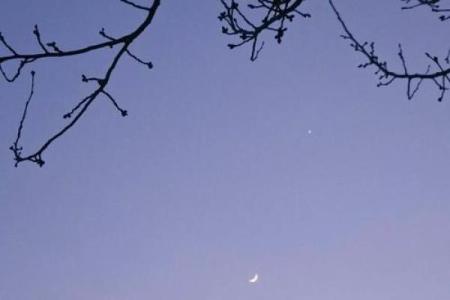 解读2017腊月十七的命理：命运与人生的奇妙结合