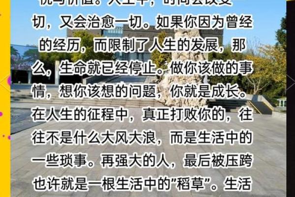 命的真正含义：探索生命的深层价值与意义