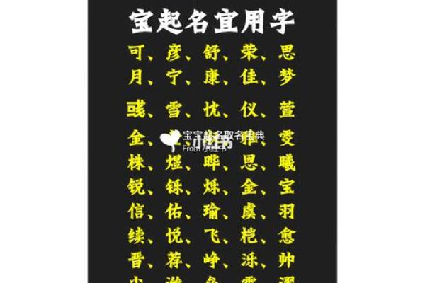猪年腊月出生女宝宝的八字命理解析与幸运指引