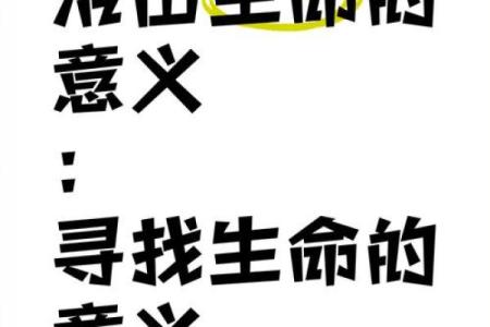 命的真正含义：探索生命的深层价值与意义