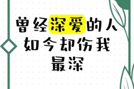 关于救赎与爱：探讨《我拼了命》背后的深意与情感