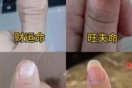 大拇指的秘密：探索与命运的微妙联系与启示