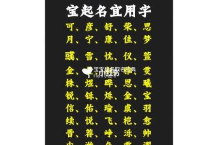 猪年腊月出生女宝宝的八字命理解析与幸运指引