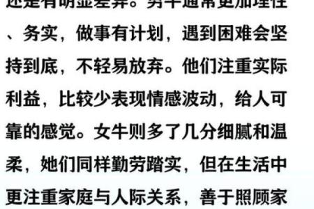 2023年牛年运势解析：解读“牛”命的特质与未来发展