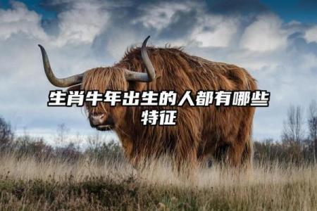 揭秘2009年牛年出生的孩子：命运与性格的全解读！