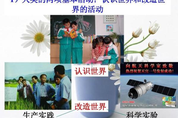 探索大林木命的音乐魅力与人生哲学 探索大林木命的音乐魅力与人生哲学