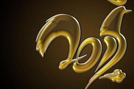 金命人适合从事的职业与发展方向分析