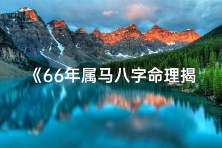 揭秘51岁属马之人命运与性格特点：走出人生的精彩轨迹