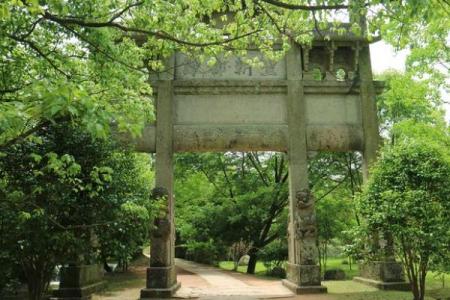 遂命荀彧：了解古代士人的智慧与追求之路