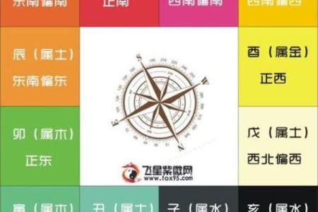 解析紫微命盘为何无子之谜，揭示命运背后的深层意义