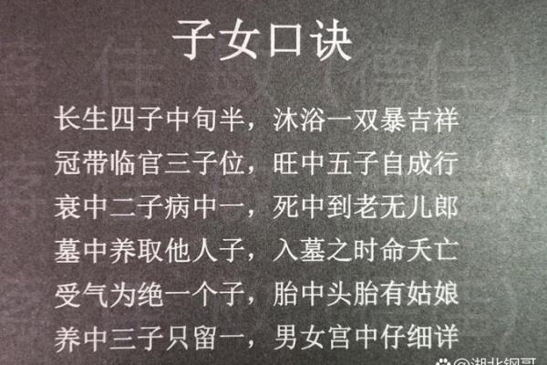 解密青龙命格女人的特征与魅力