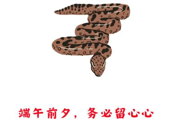 蛇在12月的命运解析：如何把握运势，创造美好未来