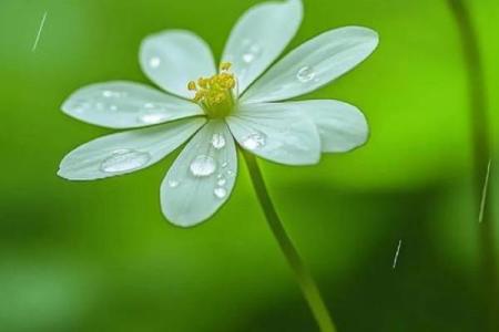 未曾享受的生命，品味遗失的美好与未来的希望