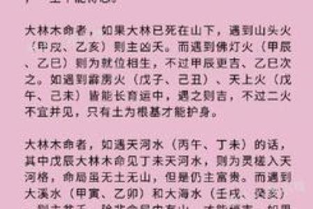 老鼠金命者的幸运车牌：选择与富贵同行的智慧之路