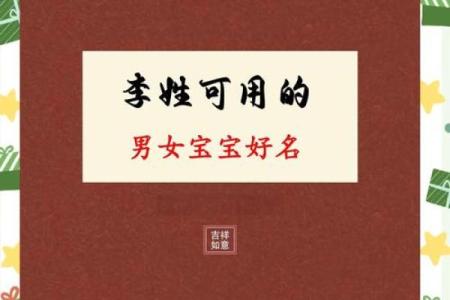 姓李的男孩命理分析：命运、性格与发展机会探讨