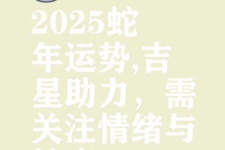 蛇在12月的命运解析：如何把握运势，创造美好未来