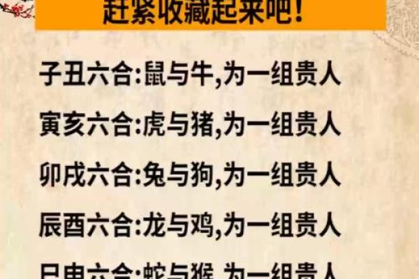 揭秘生肖背后的长寿秘密：哪些生肖的人活得最长？