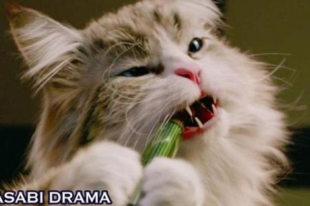 奇幻与冒险交织的世界：《九条命》电影深度解析