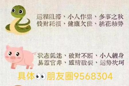 揭秘生肖背后的长寿秘密：哪些生肖的人活得最长？