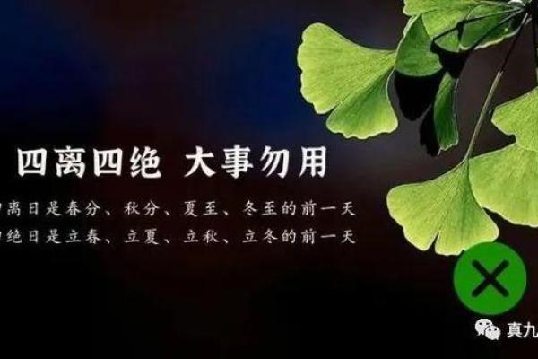 解析2017年立秋如何影响命理，揭示秋季五行的力量与运势