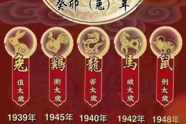 2023年出生孩子的命运与生肖运势解析