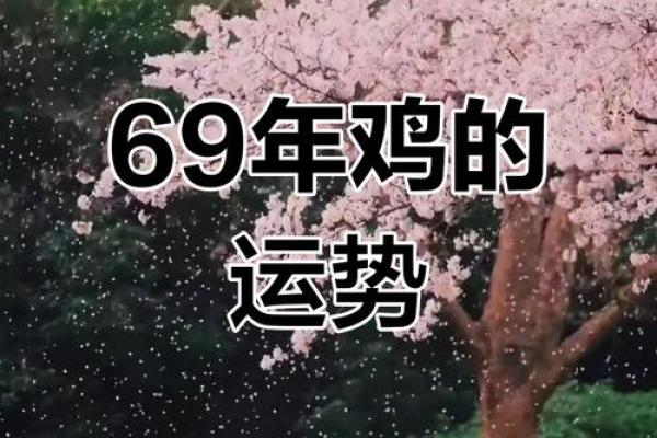 探秘：2005年属鸡的命运与人生轨迹