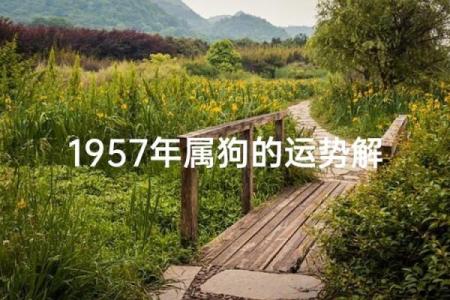 属狗人1957年出生的命运解析：命理与性格的深度剖析