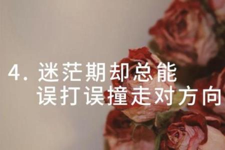 甲辰男命适合的女人：与他灵魂契合的爱情之路