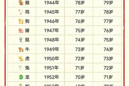 2023年出生孩子的命运与生肖运势解析